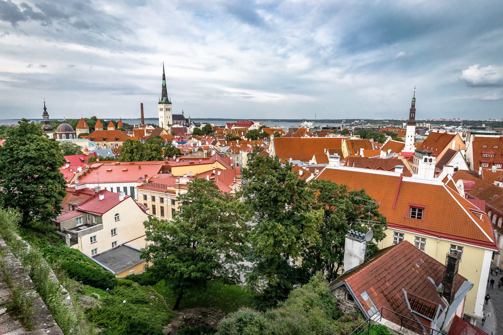 Vue panoramique sur Tallinn